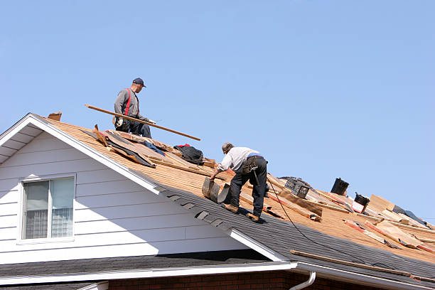 Best Roof Leak Repair  in Tonganoxie, KS